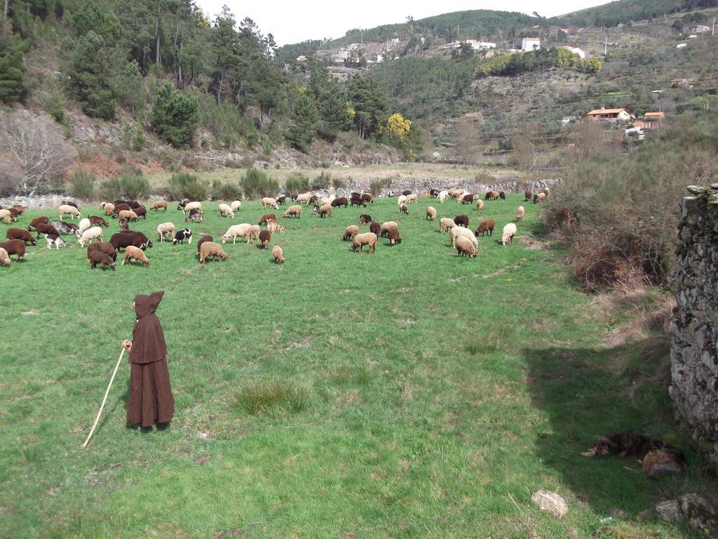 Casa Do Adro - Serra Da Estrela Cortes do Meio Экстерьер фото